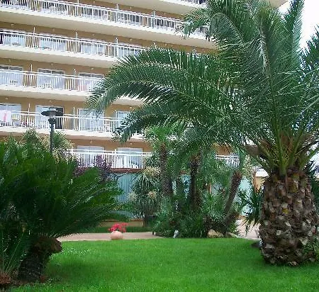 فندق بريزيدنت كاليليا